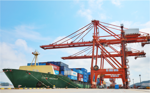 2138cn太阳集团古天乐状元岙港务分公司